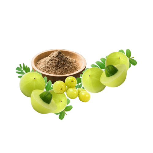 Amla-powder